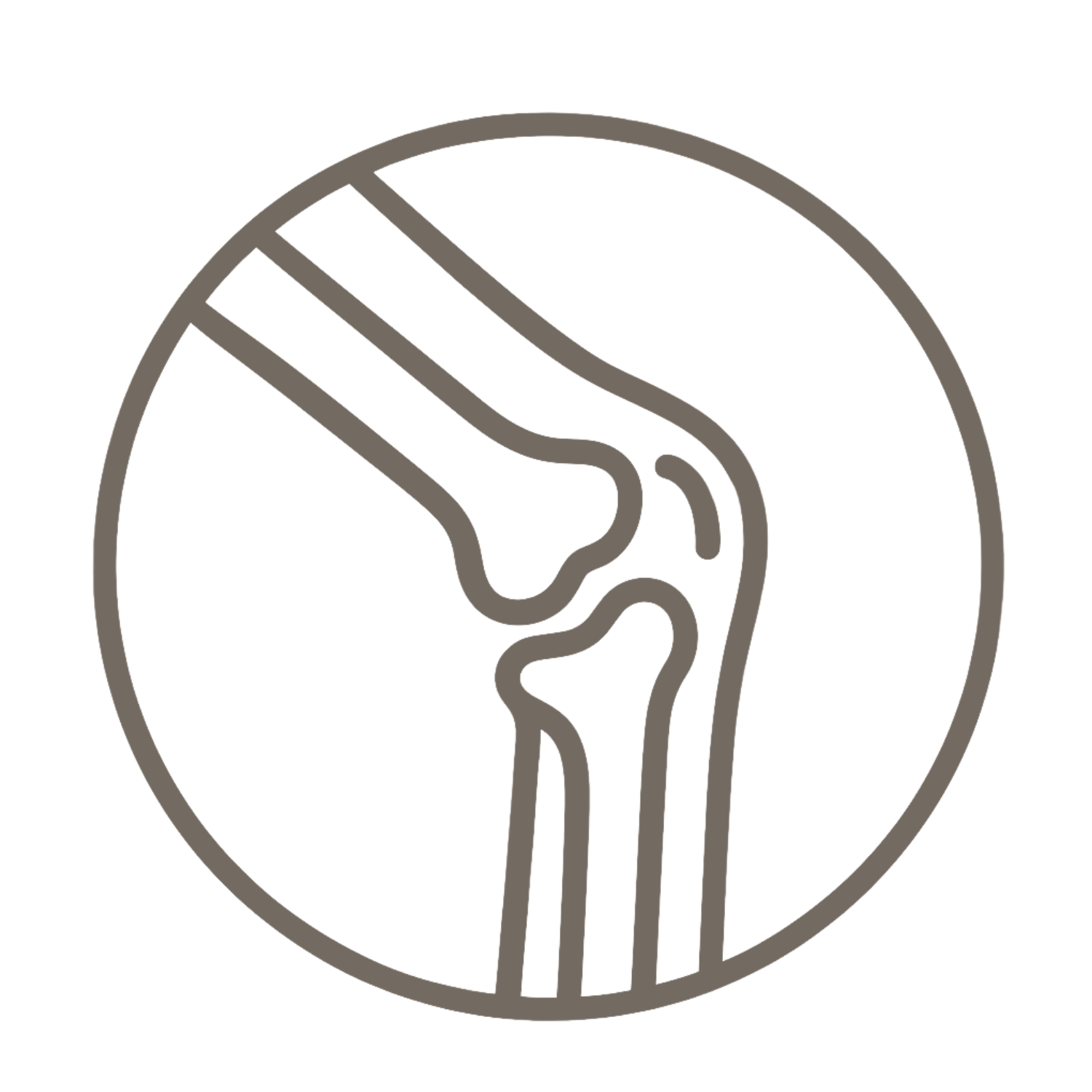 Ortopedia e Traumatologia